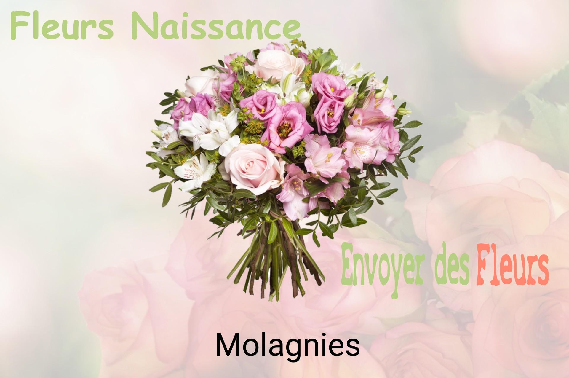 Bouquet de fleurs de naissance livré à Molagnies